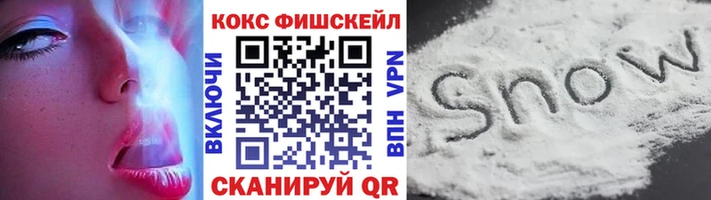 где найти наркотики  Ивдель  Cocaine Колумбийский 