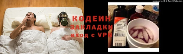 крисы Заводоуковск
