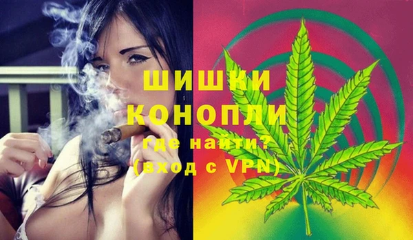 крисы Заводоуковск