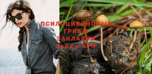 крисы Заводоуковск