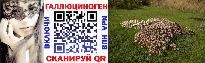 Псилоцибиновые грибы Psilocybe  Ивдель 